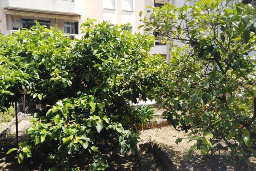 Moneghetti Apartment Beausoleil Ngoại thất bức ảnh